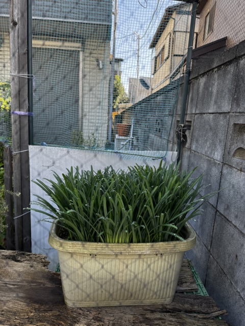 大宮総合車両センターの画像(2026年10月9日10時)