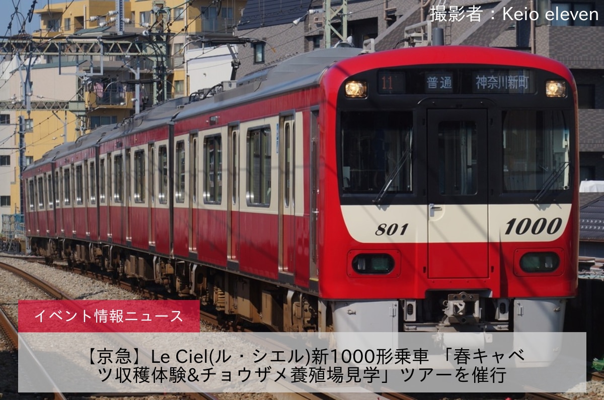【京急】Le Ciel(ル・シエル)新1000形乗車 「春キャベツ収穫体験&チョウザメ養殖場見学」ツアーを催行