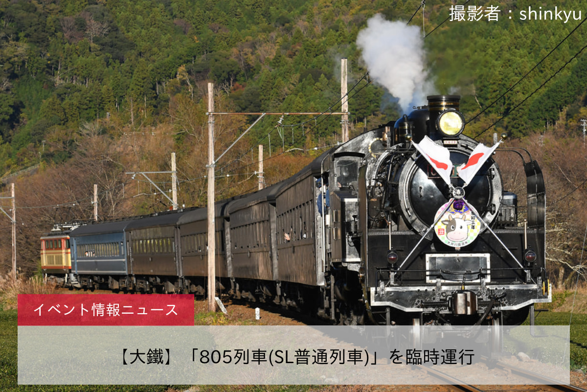 【大鐵】「805列車(SL普通列車)」を臨時運行