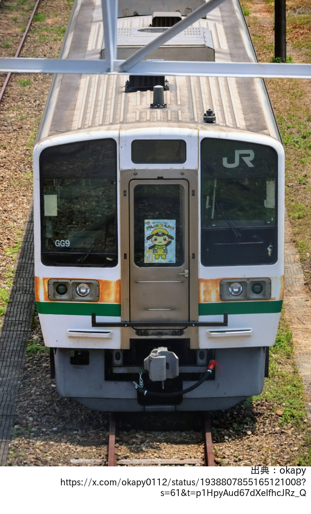 流鉄に行く211系の姿を予想しようの参考画像