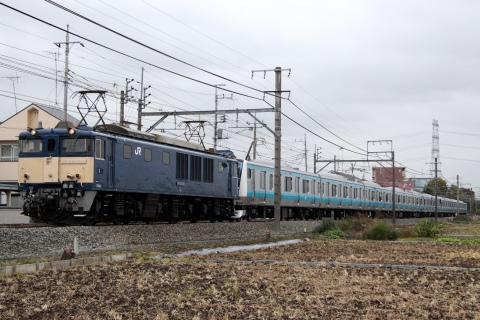 【JR東】E233系1000番台ウラ175編成配給輸送 の拡大写真