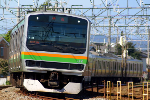 【JR東】E231系コツK31編成 「ひまわり号」を平塚～茅ヶ崎で撮影した写真
