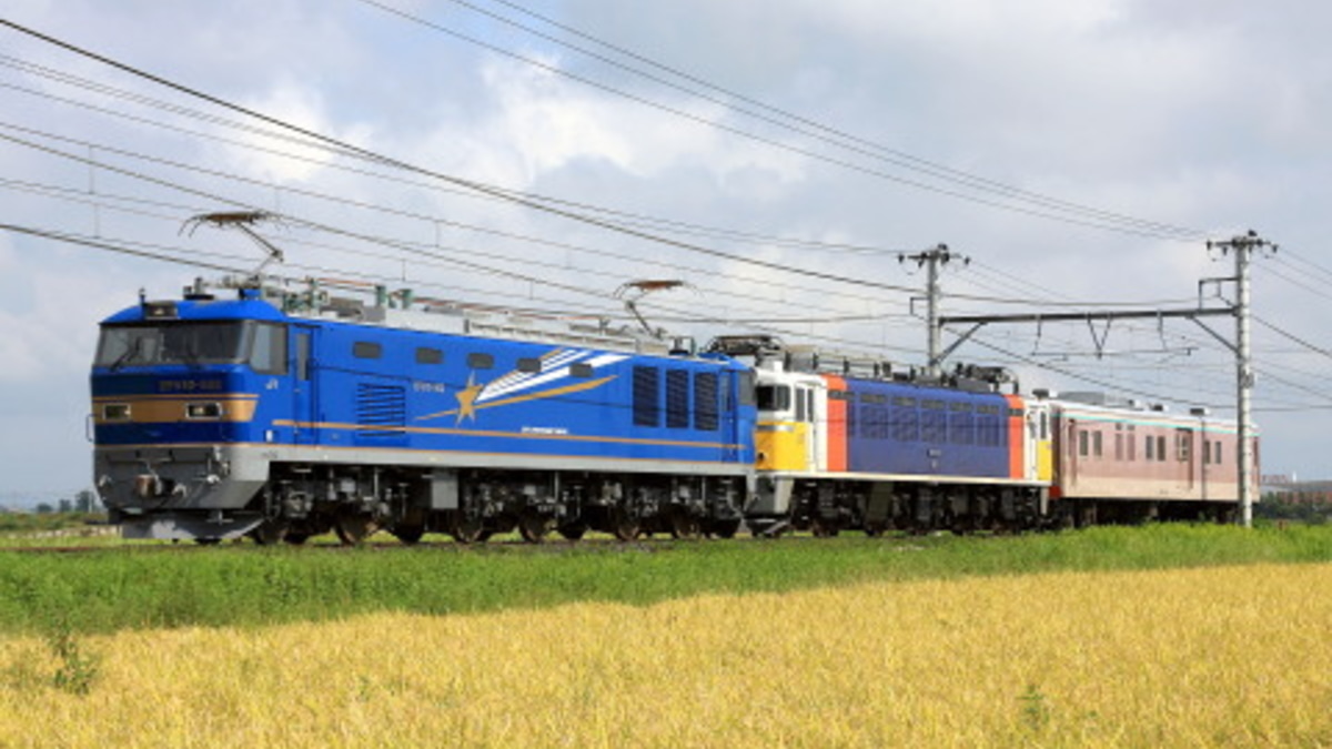 JR東】EF81-79＋マニ50-2186『ゆうマニ』 配給輸送 |2nd-train