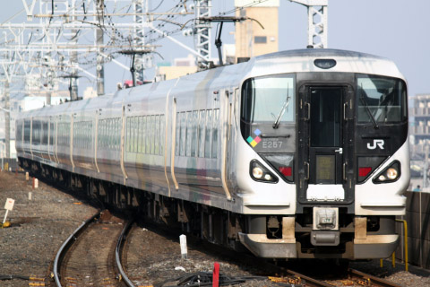 【JR東】E257系使用 特急「かつうらひなまつり号」運転を市川駅で撮影した写真