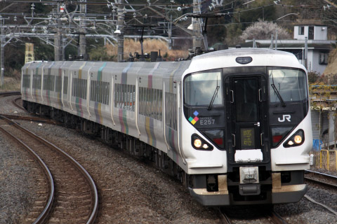 【JR東】E257系使用 特急「かつうらひなまつり号」運転を大網駅で撮影した写真