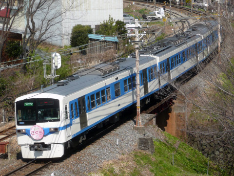 【秩鉄】「急行さくら号」＆「SLさくら号」運転を桜沢～寄居で撮影した写真