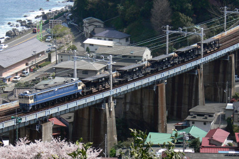 【今週の話題】4月8日～4月11日を根府川～早川で撮影した写真
