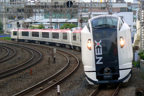 【JR東】E259系クラNe020＋Ne021編成 東急車輛出場を戸塚～大船で撮影した写真