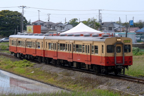【JR東】久留里線で国鉄色キハ30、2両で運転の拡大写真