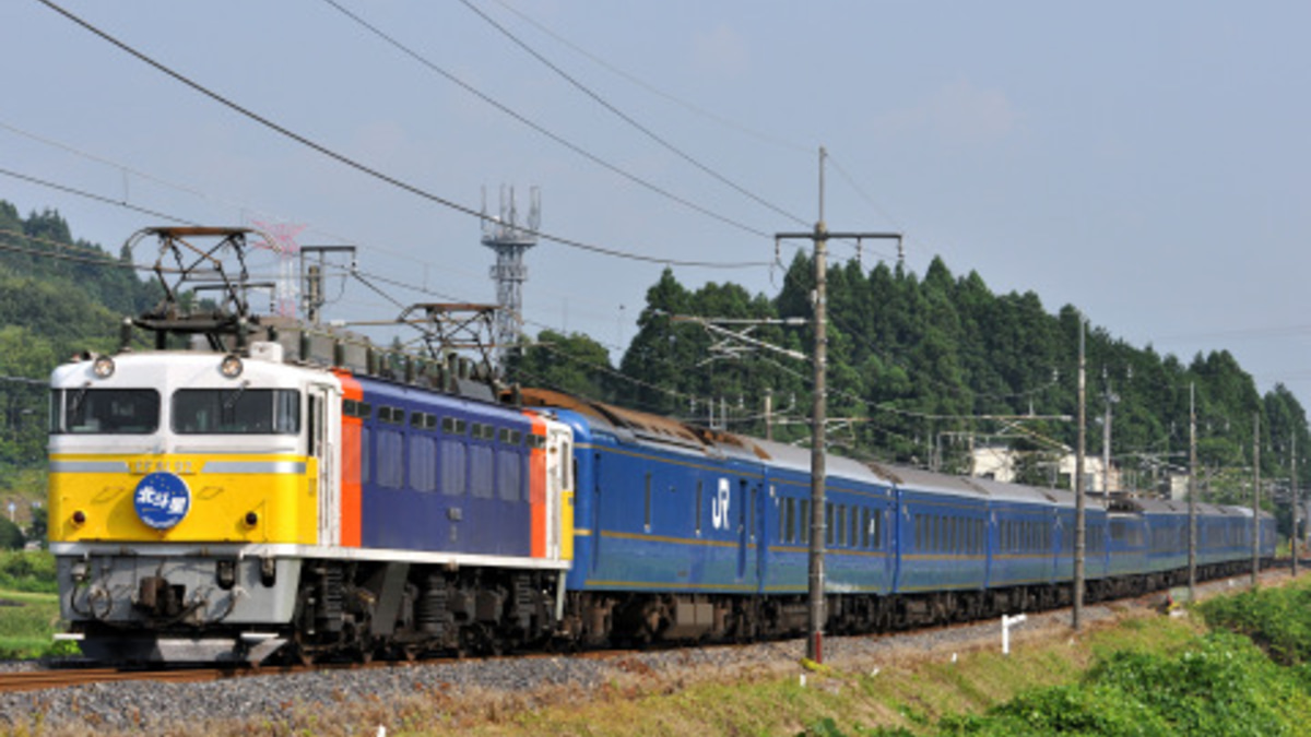 EF81 北斗星 JR EF81形電気機関車(北斗星色) ｜製品情報｜製品検索｜鉄道模型