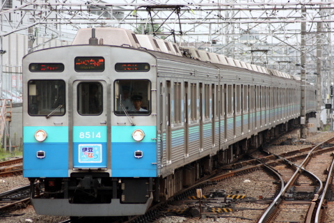 【東急】8500系8614F 伊豆のなつ号ラッピングを鷺沼駅で撮影した写真