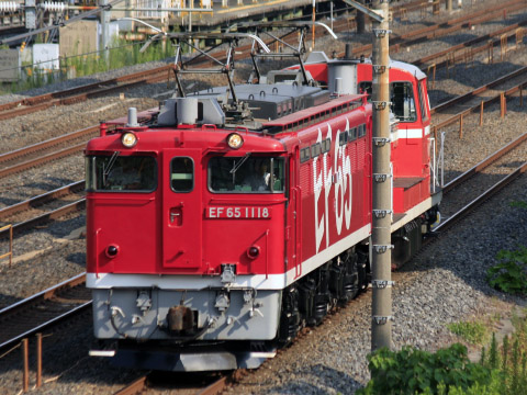【今週の話題】8月16日～8月22日の拡大写真