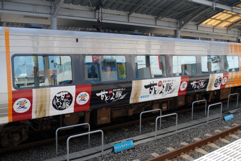 【JR四】8000系S3編成に「愛トレイン」ラッピングを高松駅で撮影した写真