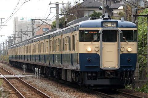 【JR東】115系トタM40編成使用 「ひまわり号」運転を古淵駅で撮影した写真