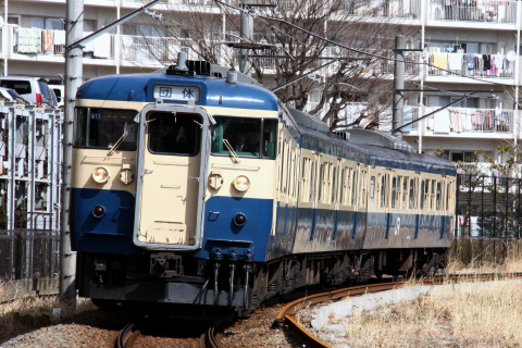 【JR東】115系トタM11編成使用 団体臨時列車を海老名～厚木で撮影した写真