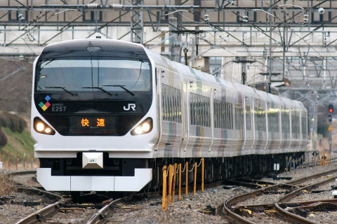 【JR東】快速「リゾートビューふるさと」 E257系モトM111編成で代走を明科駅付近で撮影した写真
