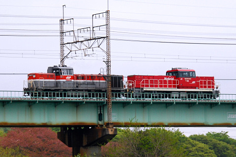 【JR貨】HD300-901 甲種輸送を新座～東所沢で撮影した写真