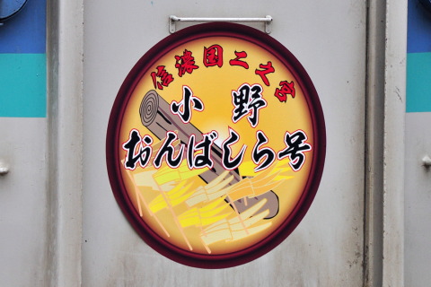 【JR東】115系ナノN52編成＋N29編成使用 団体臨時列車を岡谷駅で撮影した写真