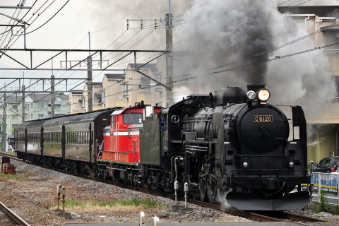 【JR東】C61-20＋DD51-842＋旧客4両 試運転を井野駅で撮影した写真
