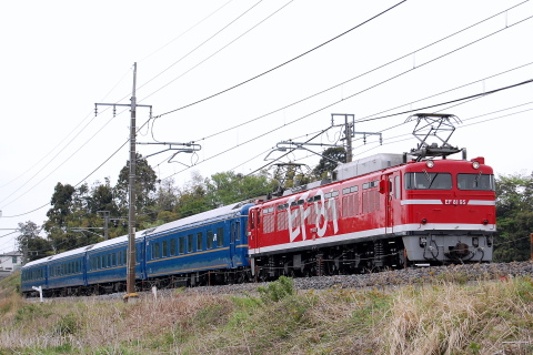 【JR東】EF81-95＋24系4両 乗務員訓練を岡本～宝積寺で撮影した写真