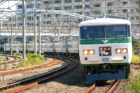 【JR東】185系チタA8編成 運用復帰を大船駅で撮影した写真