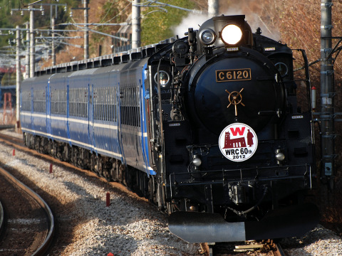 【JR東】上越線でC61-20＋12系6両による団体臨時列車運転
