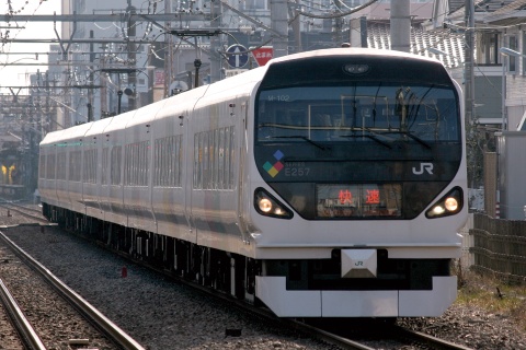 【JR東】E257系モトM102編成使用 快速「青梅マラソン号」運転を中神駅で撮影した写真