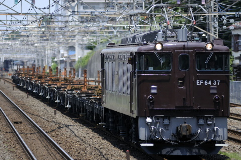 5月28日～6月3日の工臨 を松戸～金町で撮影した写真