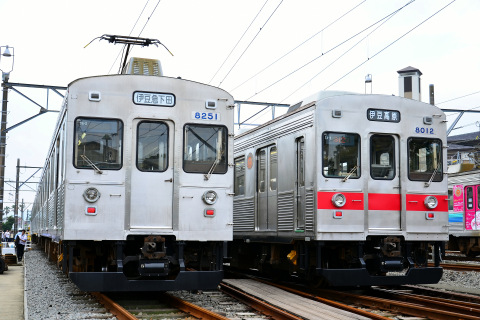 【伊豆急】団体臨時列車「なつかしの8000系」運転を伊豆高原駅構内で撮影した写真