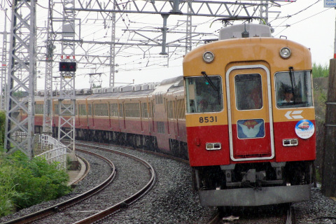 【京阪】8000系8531F「旧3000系特急車 最後の夏」HM掲出の拡大写真