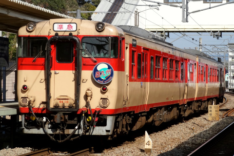 【JR九】キハ66-110＋キハ67-10使用 団体臨時列車を原田駅で撮影した写真