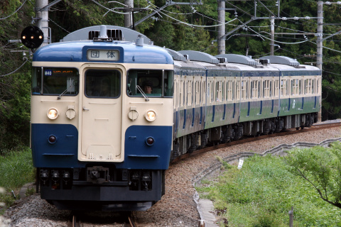 【JR東】115系トタM40編成使用 団体臨時列車運転を青梅～宮ノ平で撮影した写真