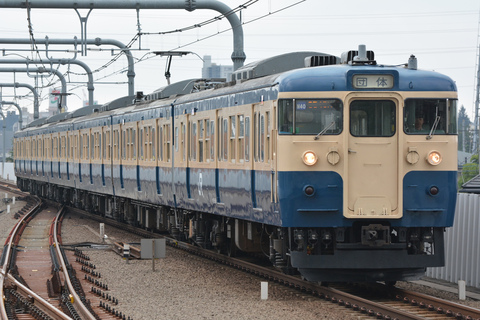 【JR東】115系300番代トタM40編成使用 「ひまわり号」運転を東小金井駅で撮影した写真