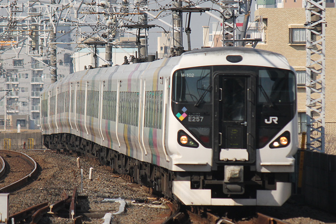 【JR東】快速成田山初詣やまなし号運転を総武線市川駅で撮影した写真