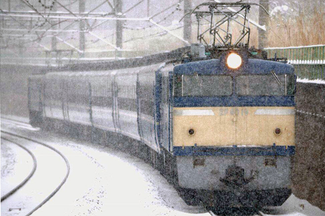 【JR東】急行かながわ号（カナロコ列車）運転を北府中駅で撮影した写真