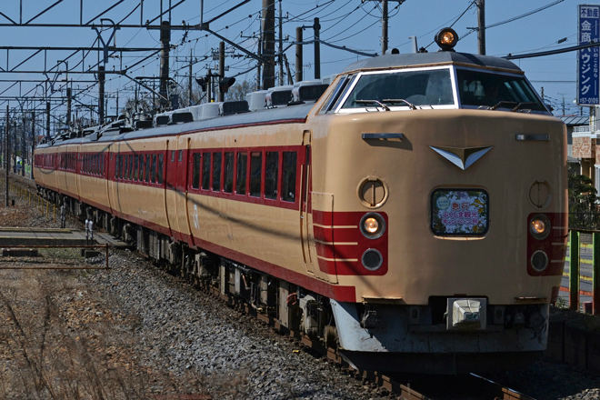 【JR東】485系国鉄色車使用急行ふくしま観光キャンペーン号を野木駅で撮影した写真