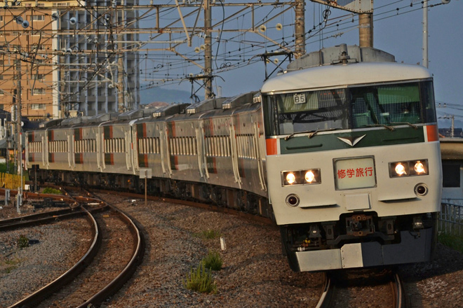 【JR東】2014年の185系10両での集約臨運転開始を国府津駅で撮影した写真