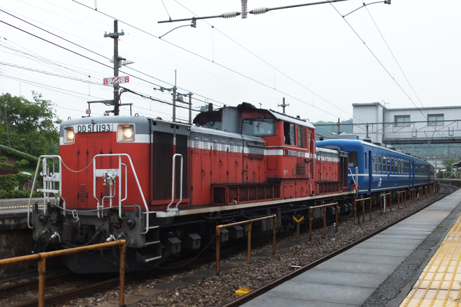 【JR西】DD51＋12系による乗務員訓練列車が運転を上郡駅で撮影した写真