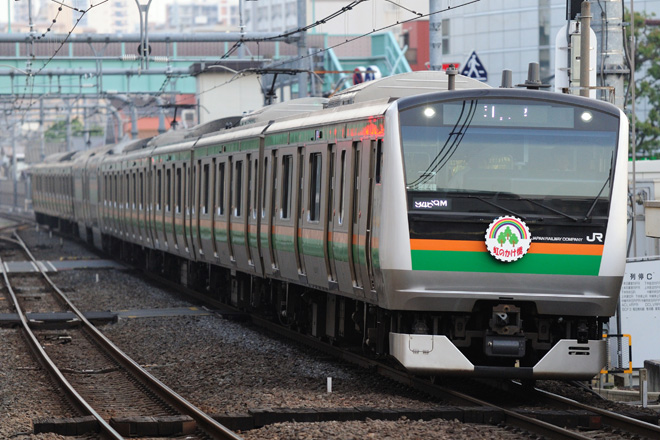 【JR東】E233系タカL01編成使用の団臨運転を北千住駅で撮影した写真