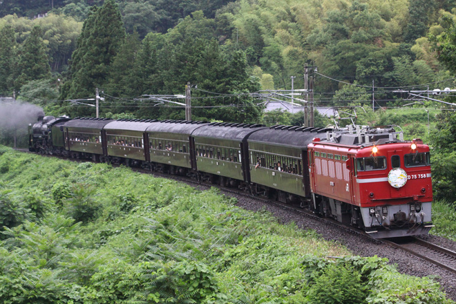 【JR東】「EL＆SL福島プレＤＣ号」運転を南福島～金谷川間で撮影した写真