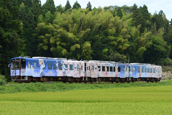 【のと鉄】花咲くいろはラッピング車 3両連結運行を能登中島～笠師保間で撮影した写真
