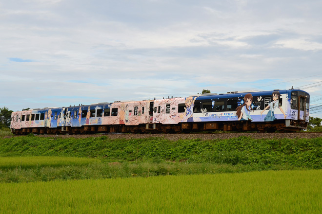 【のと鉄】花咲くいろはラッピング車 3両連結運行を能登鹿島～西岸間で撮影した写真