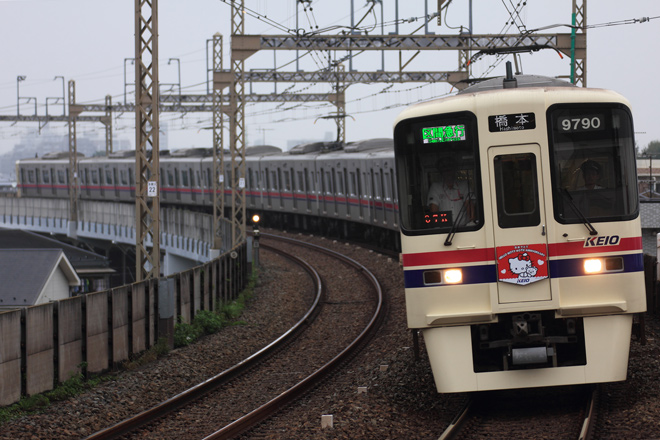 【京王】「HELLO KITTY 40TH ANNIVERSARY」 HMを京王稲田堤駅で撮影した写真