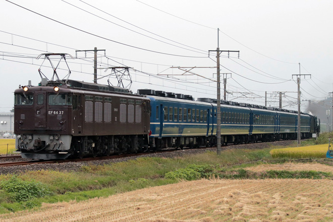 【JR東】甲府始発のEL&amp;amp;SL碓氷号運転の拡大写真