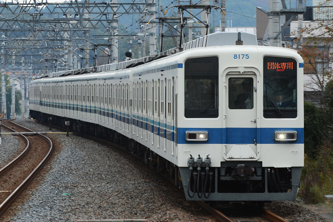 【東武】8000系8175F+8506F使用団体専用列車を武蔵嵐山駅で撮影した写真