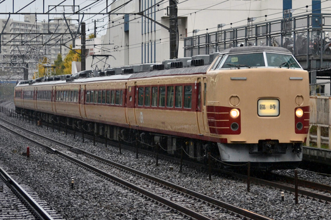 【JR東】189系M51編成鎌倉紅葉号運転を保土ヶ谷駅で撮影した写真