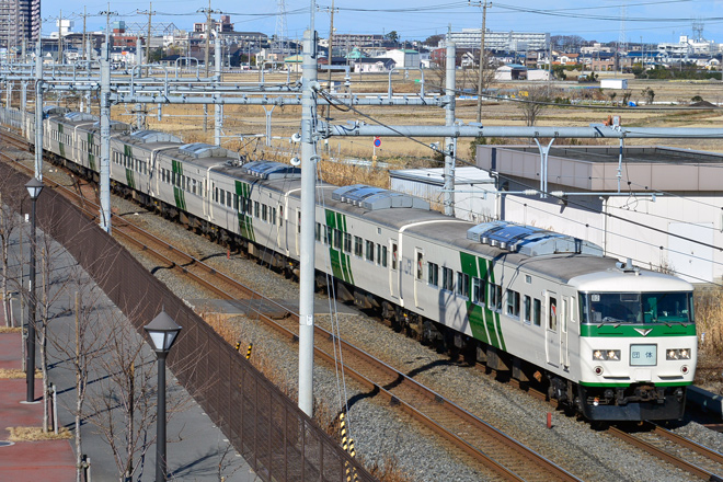 【JR東】185系B2編成使用の成田山初詣臨時列車運転を吉川～吉川美南間で撮影した写真