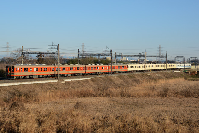 【東武】8000系3種類の塗装併結特別編成列車を東松山〜高坂間で撮影した写真