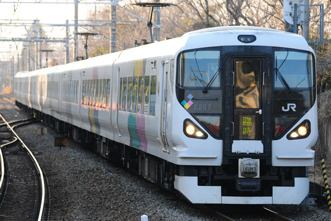 【JR東】臨時快速青梅マラソン号運転を西立川駅で撮影した写真