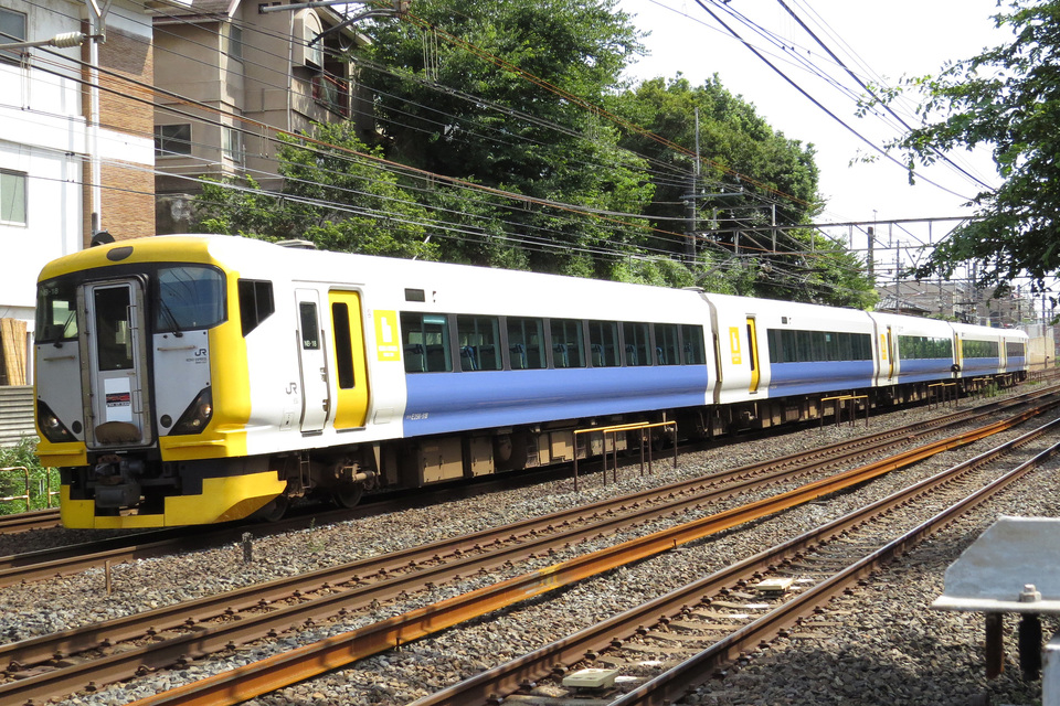 【JR東】E257系500番台使用の団体列車『氣志團万博号』運転の拡大写真